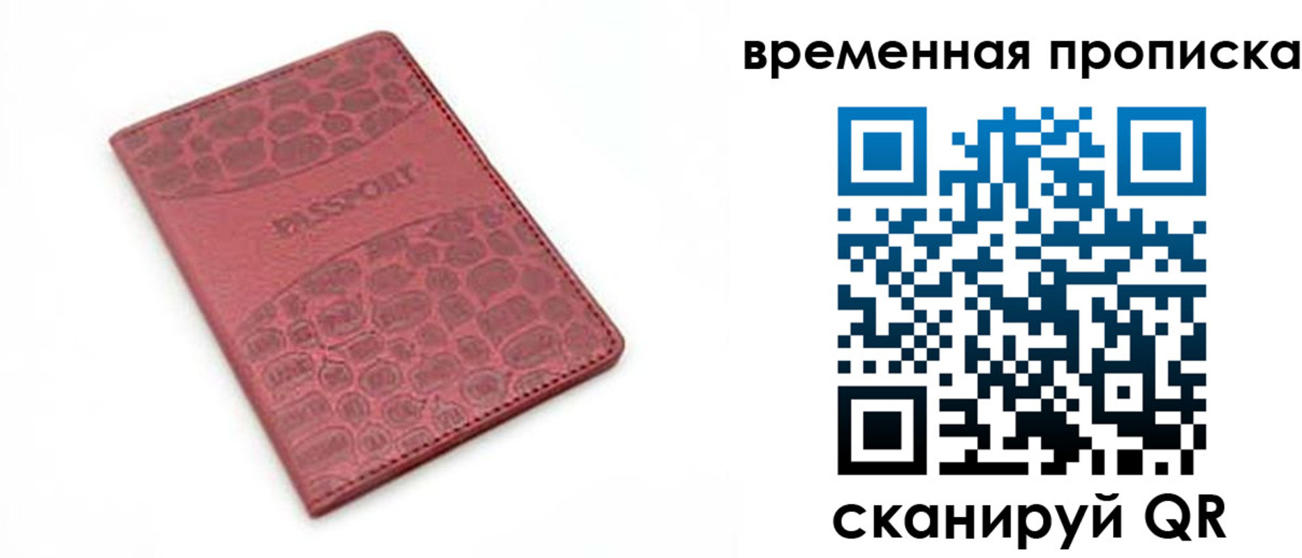 прописка 2025 в Видном